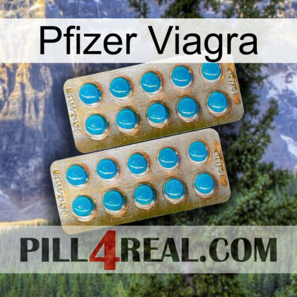 Pfizer Viagra new08.jpg